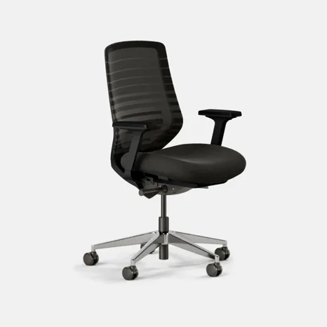 Recalled Ergonomic Chair Black / Black Standard – SKU 11-01-00-50-V5