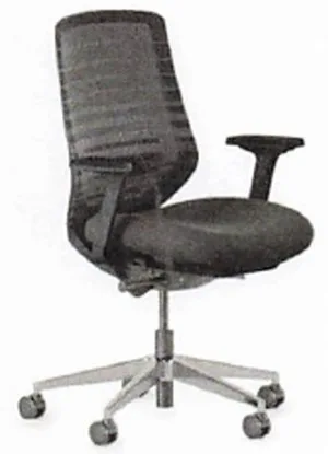 Recalled Ergonomic Chair Black / Black Standard – SKU 11-01-00-50-V5